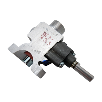 Valve Gas Bsi Fsg S/ Rap St Bl