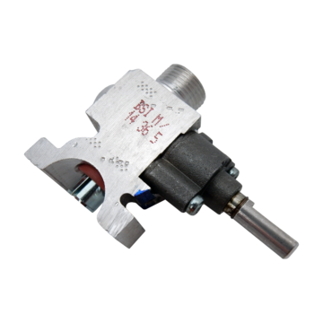 Valve Gas Bsi Fsg S/ Rap St Bl